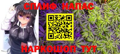Альфа ПВП Нальчик