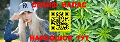 Альфа ПВП Нальчик