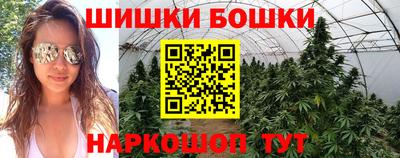 Альфа ПВП Нальчик