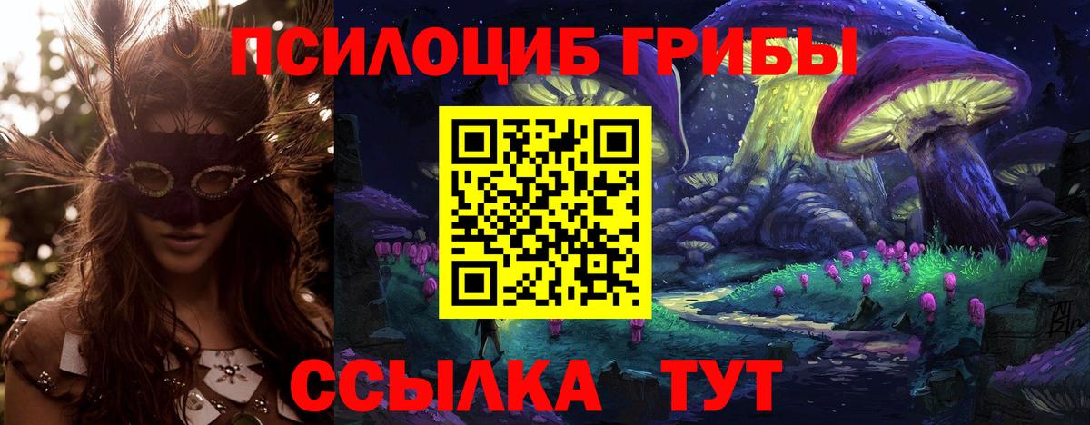 Галлюциногенные грибы Psilocybine cubensis  Вход с VPN  Выборг 