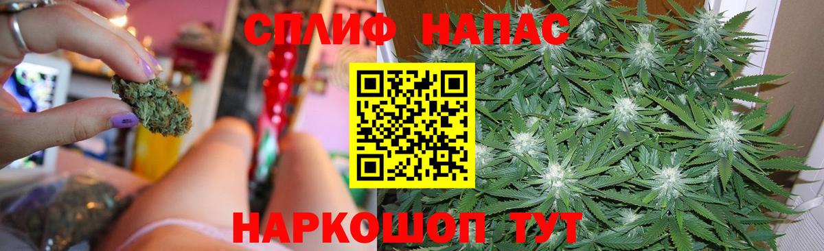 Выборг  Канабис план  Вход с VPN  Марихуана гибрид  Бошки марихуана Ganja 
